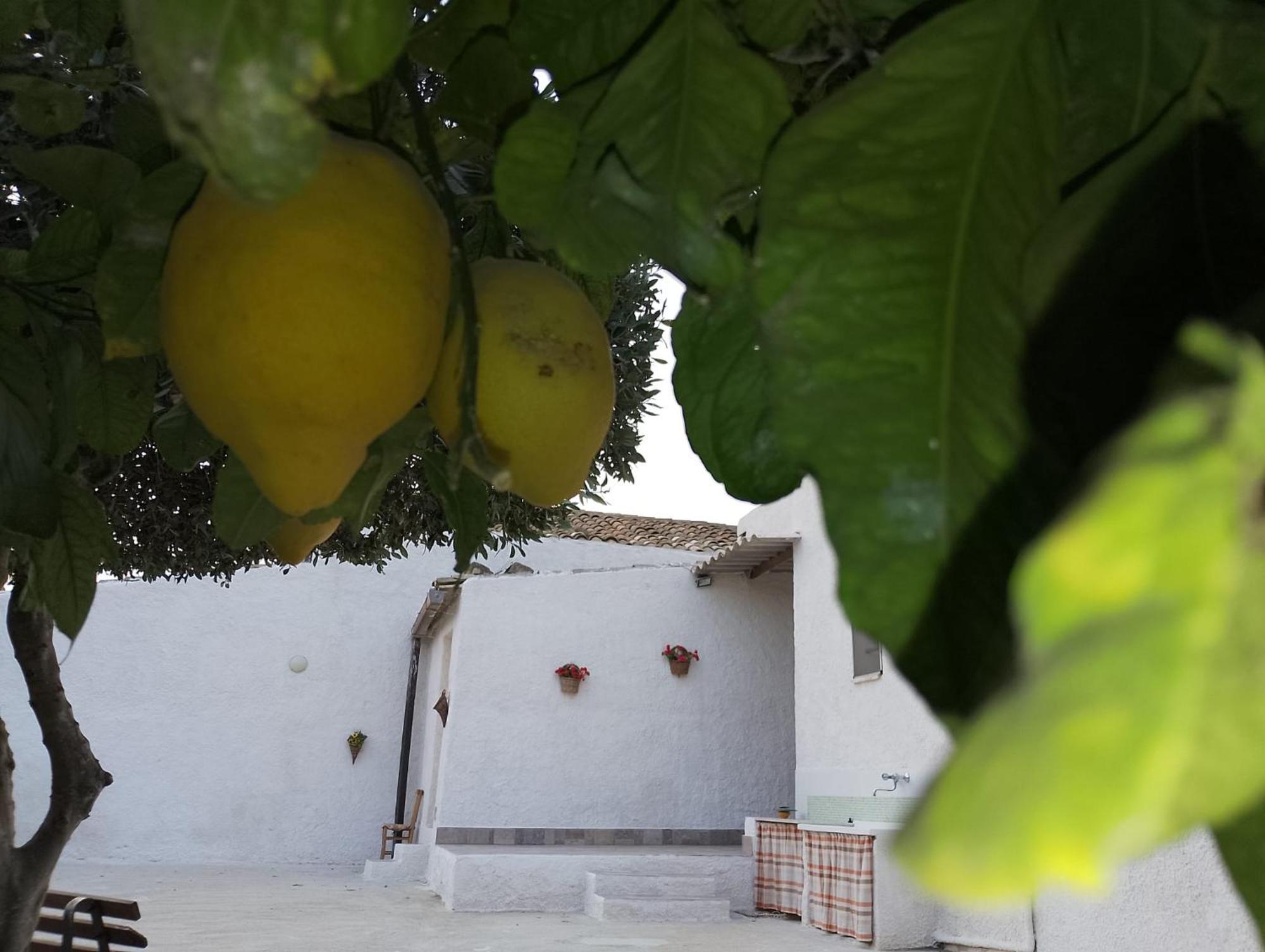 Casa L'agrumeto Marsala