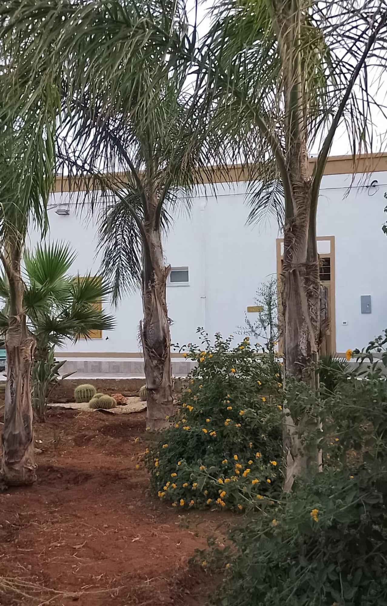 Casa L'agrumeto Holiday home