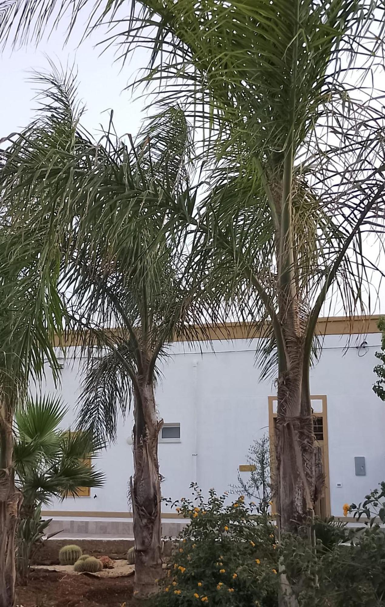 Casa L'agrumeto Holiday home